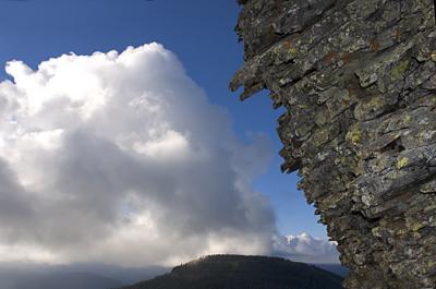 Lichen Fir Cap