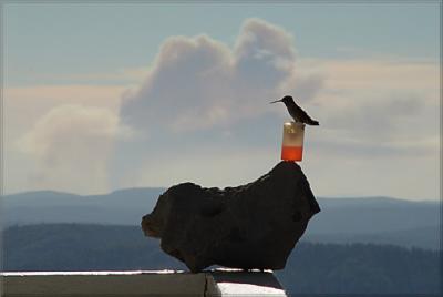 Oregon Fire Lake Oroville Hummer