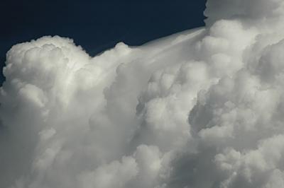 Pileus veil drifting down