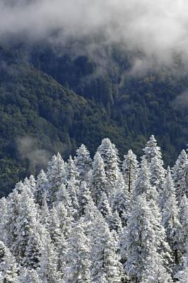 SnowLevel 19Sept04