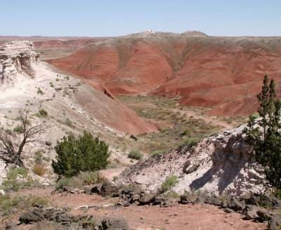 Trail to the Painted Desert