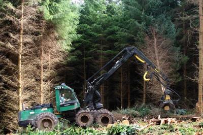 Timber Harvesting in the Grwyne Fawr Forest.jpg