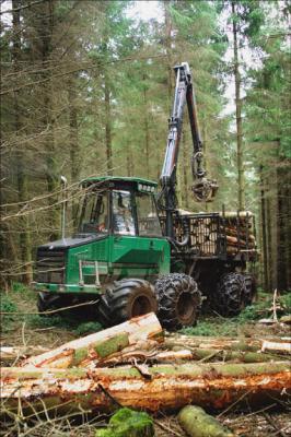Timber Harvesting.jpg