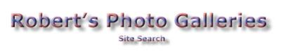 Search Top Banner