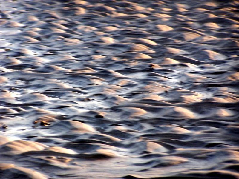 000_0096.jpg