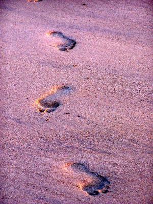 footprints.jpg