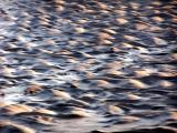 000_0096.jpg