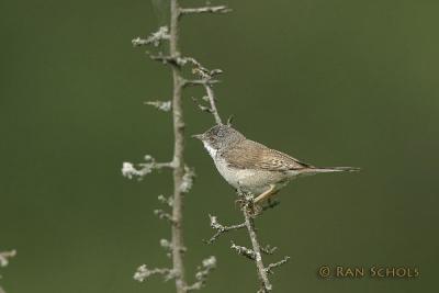 C10D_01258.jpg