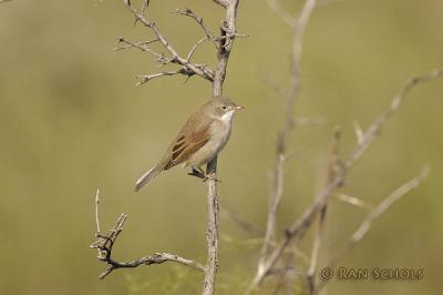 d100_0861.jpg