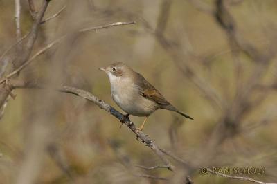 d100_0870.jpg