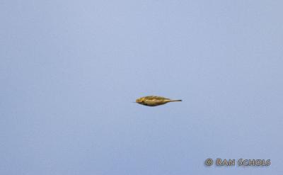 d100_1376.jpg