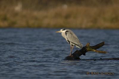 d100_2687.jpg