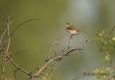C10D_00316.jpg