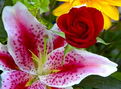 24th Anniversary Flowers