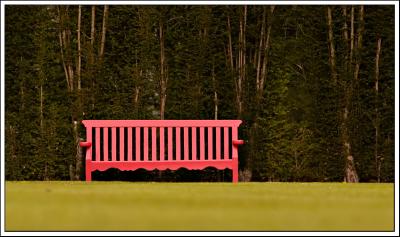 Bench on the Croquet Lawn
