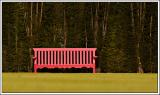 Bench on the Croquet Lawn