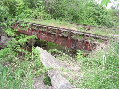 Fantasy Bridge to the Enchanted Forest