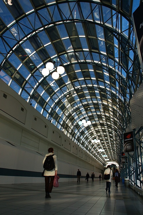 Skywalk and CN tower