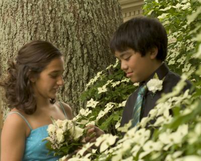 Under the white shrub of flowers