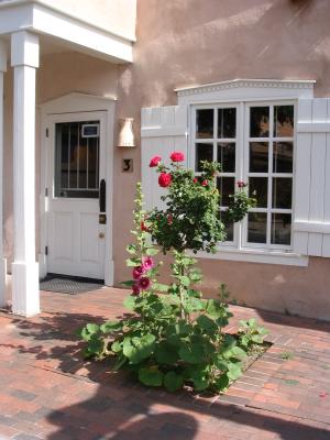 Albuquerque Flowers.jpg