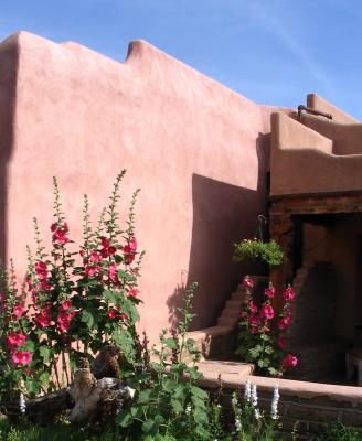 Albuquerque Holly Hocks.jpg