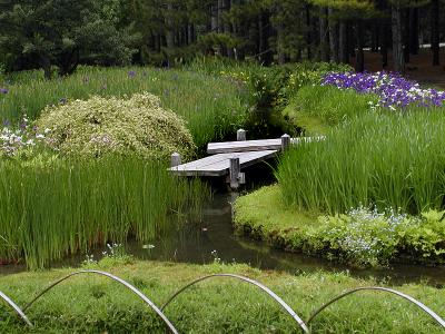 Garden Bridge