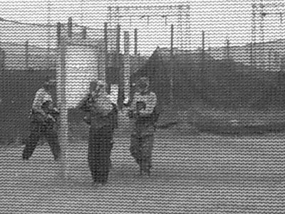 u26/rgunn4/medium/43916116.CIMG1342.jpg