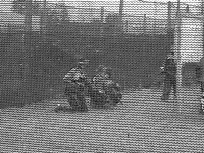 u26/rgunn4/medium/43916122.CIMG1350.jpg