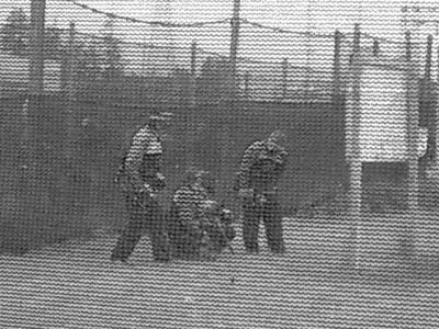 u26/rgunn4/medium/43916123.CIMG1351.jpg