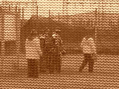 u26/rgunn4/medium/43916142.CIMG1381.jpg