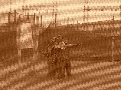 u26/rgunn4/medium/43916143.CIMG1382.jpg