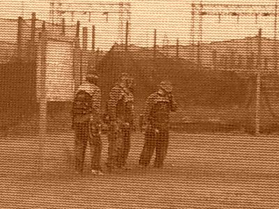 u26/rgunn4/medium/43916144.CIMG1383.jpg