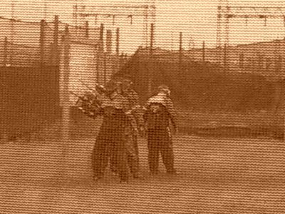 u26/rgunn4/medium/43916148.CIMG1387.jpg