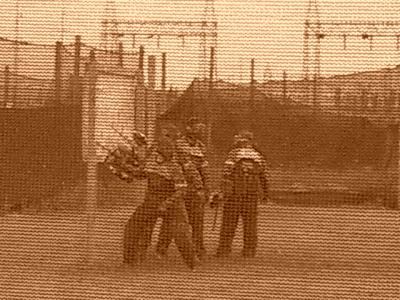 u26/rgunn4/medium/43916149.CIMG1388.jpg