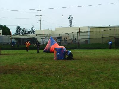 u26/rgunn4/medium/43916196.NWPS2061.jpg