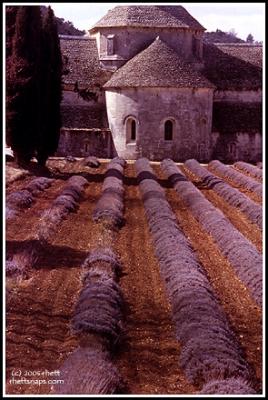 Provence, Monastery of Senanque