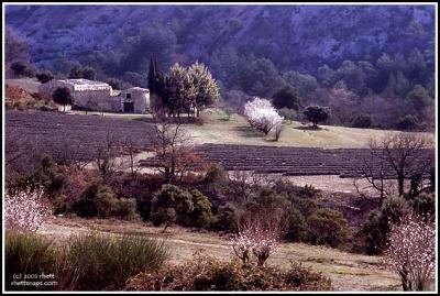 Provence, Senanque