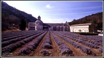 Provence,  Monastery of Senanque