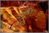 Provence, Roussillon, ochre quarry