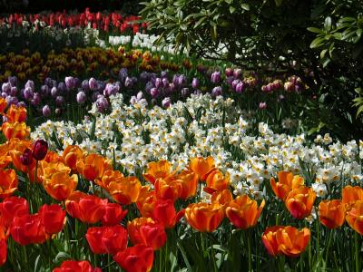 RoosenGaarde Display Gardens