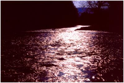 Greenbrier River Sun Reflect w - Border EN tb0505.jpg
