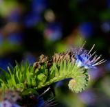 DSC_5191.jpg