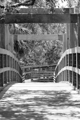 Alderman Ford Park Bridge