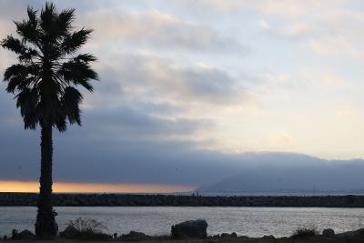 Ventura beach sunset 2