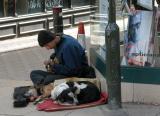 One Man and his Dogs