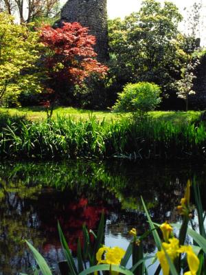 Reflection in to the water - 2002 - by Pietrolucci R.