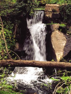 Waterfall - 2002 - by Pietrolucci R.