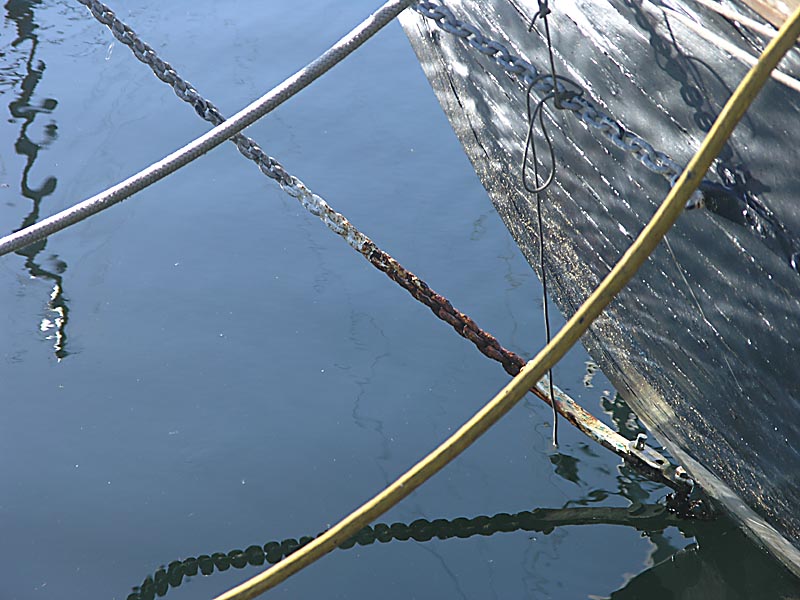 Boat #31