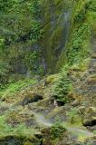 _DSC4434.jpg