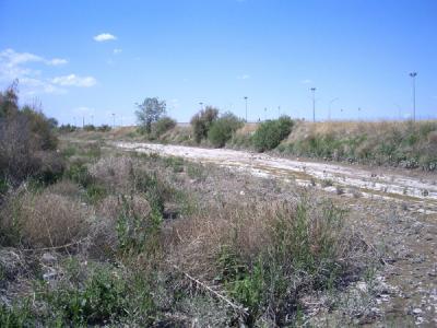 MXCO0159.JPG
